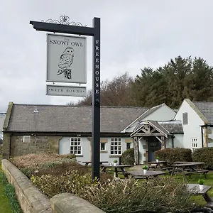 The Snowy Owl By Innkeeper's Collection Hotel